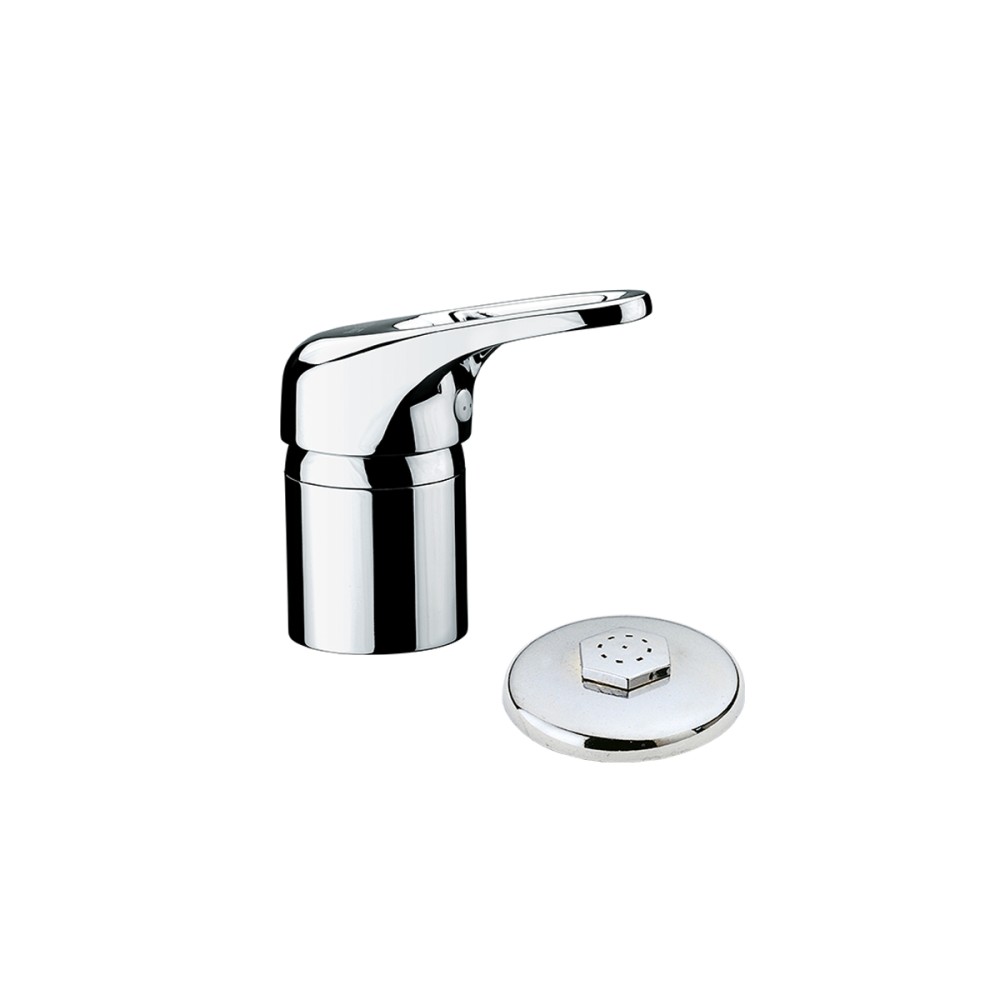 Single lever bidet mixer with shower
